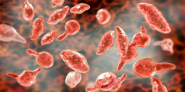 Mycoplasma Genitalium PCR Detection