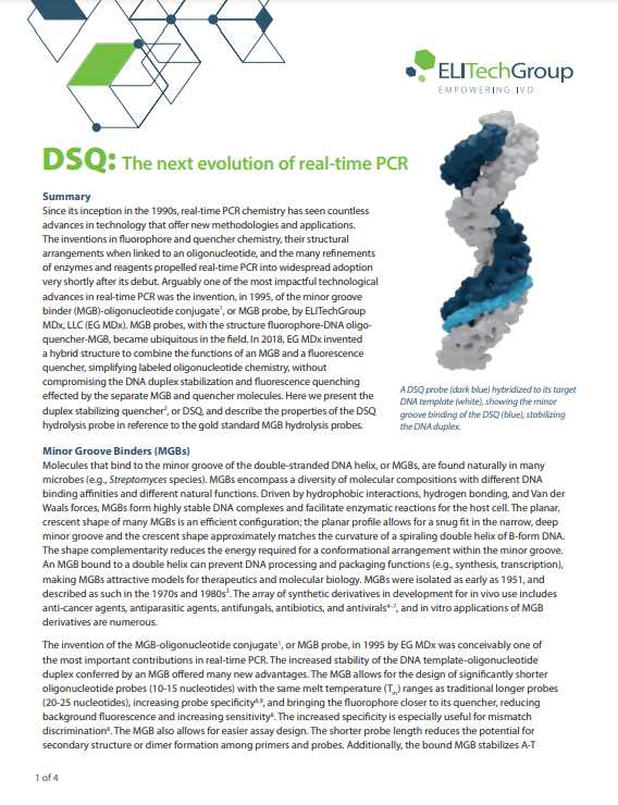 DSQ Real time PCR Doc Page-min