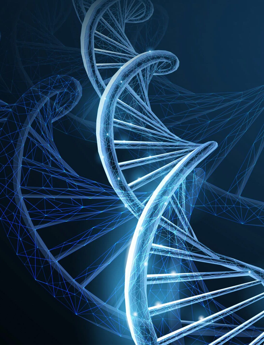 high throughput PCR